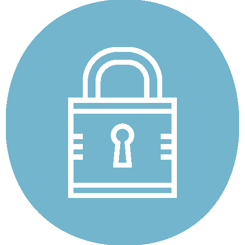 ICON_security_blue